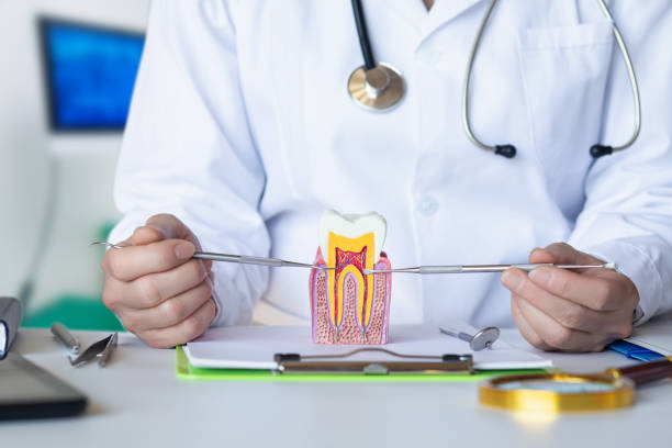 Best Weekend Emergency Dentist in Redding, CA